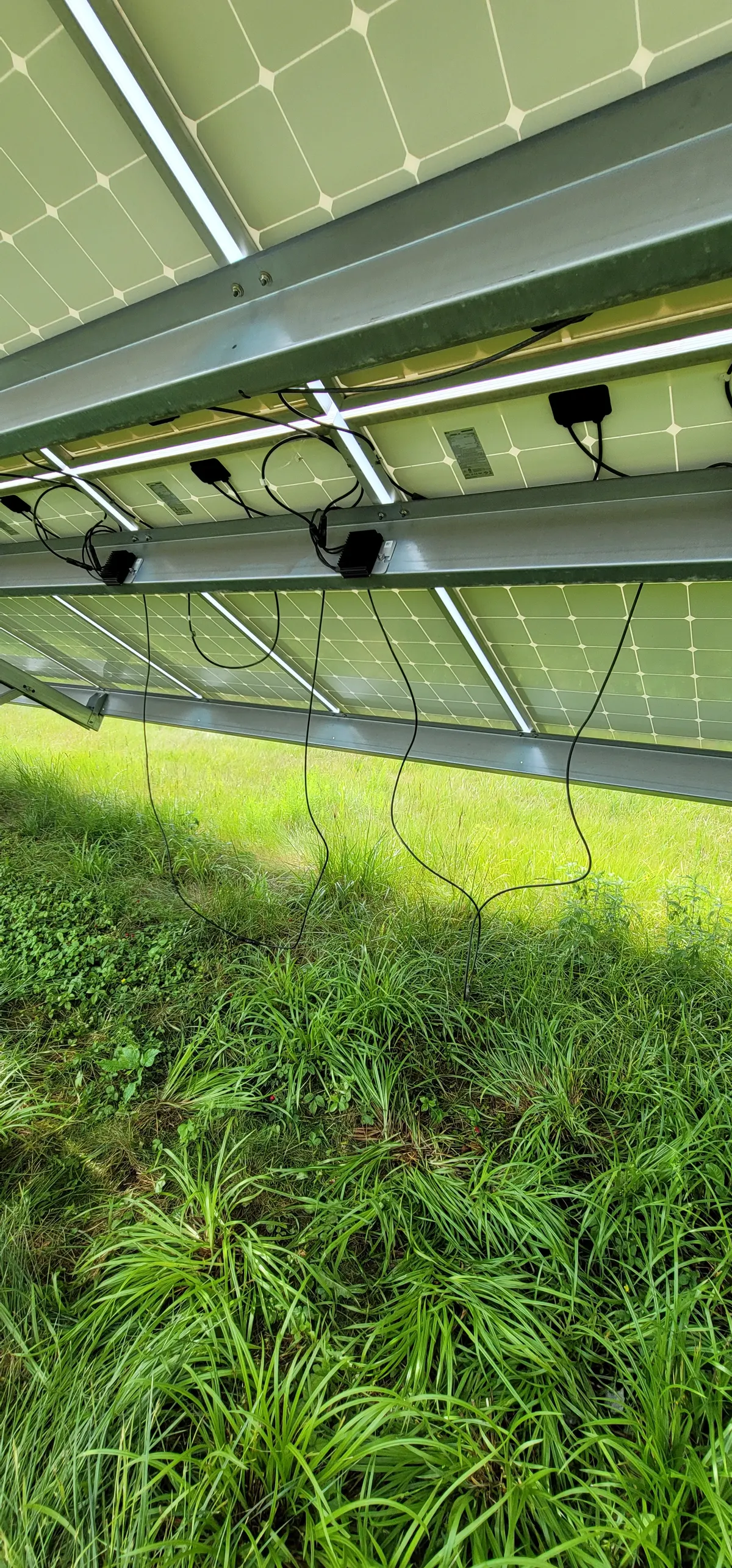 Microinverters and DC wiring inspected under a ground-mount solar array
